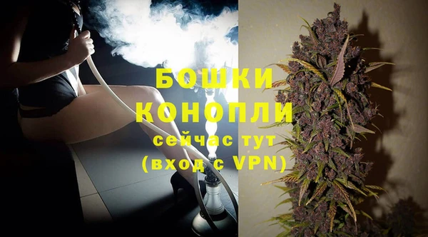 эйфоретик Белокуриха