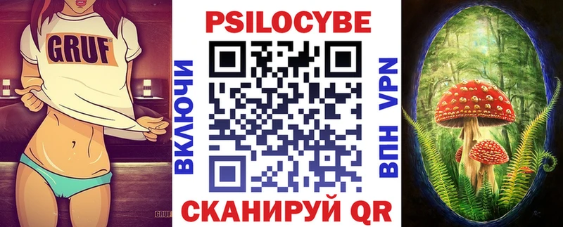 kraken как зайти  Вяземский  Псилоцибиновые грибы Cubensis 